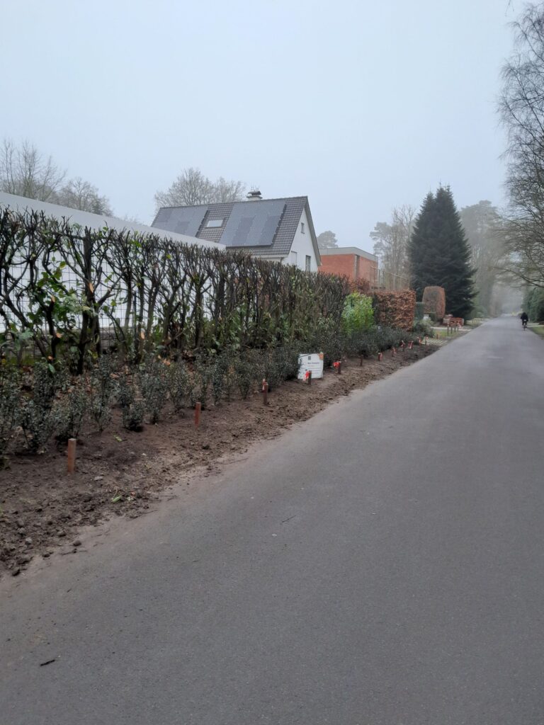 481771987_656115023596516_8275674704355748900_n